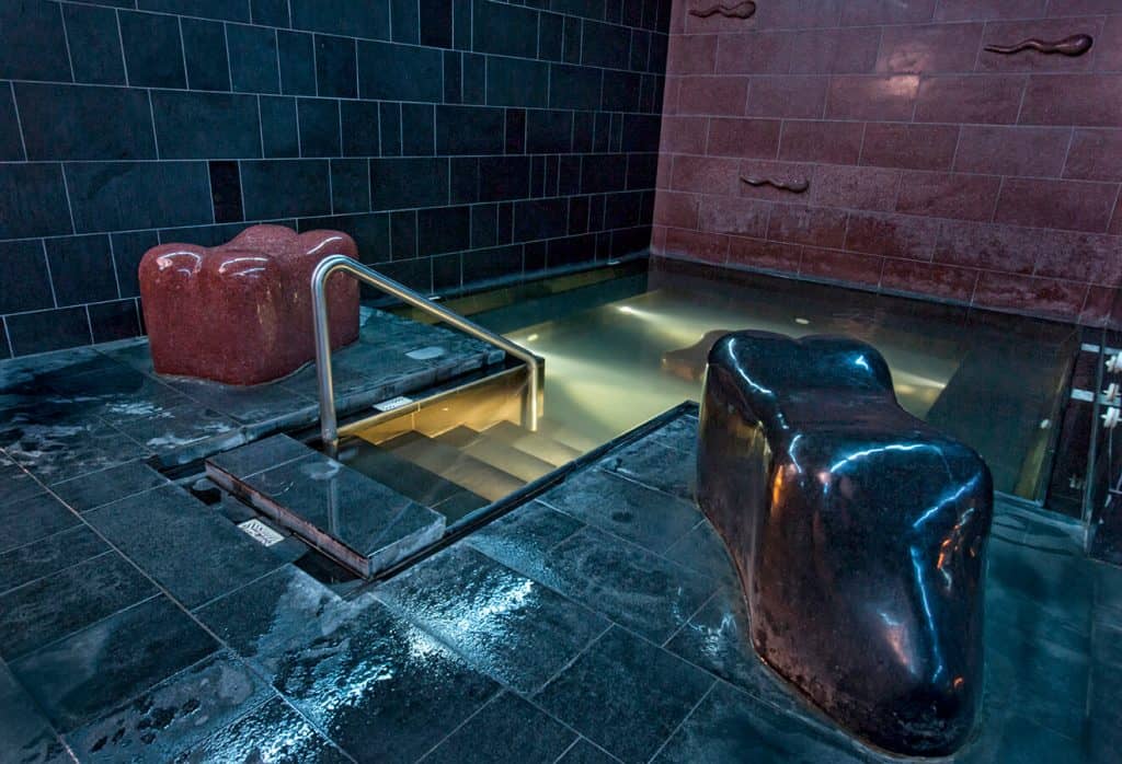 Laugar-spa-Reykjavik-1024x698